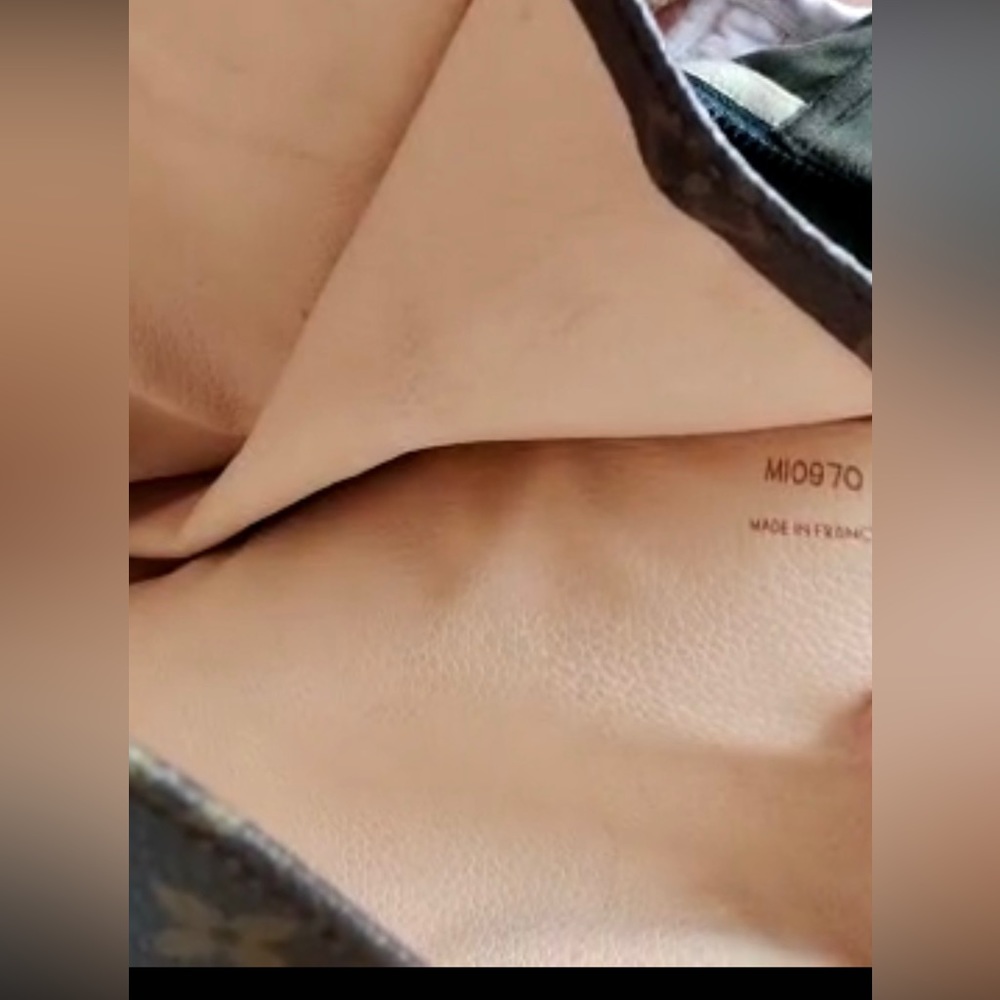 Louis Vuitton Sac Plat - Picture 2 of 15